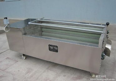 【青核桃脱皮清洗机价位锐胜机械厂青核桃脱皮清洗机哪个品牌好】-